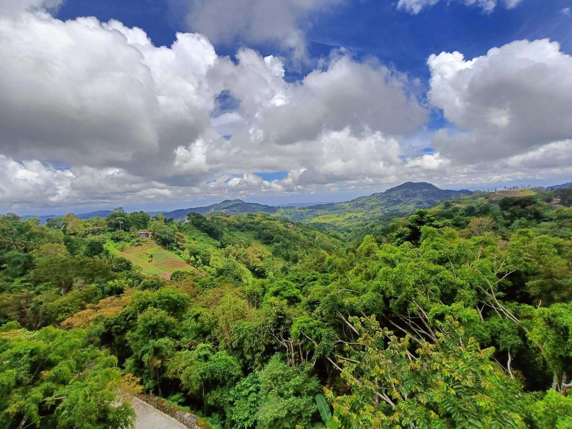 Mist Mountain Resort Powered By Cocotel Cebu Zewnętrze zdjęcie